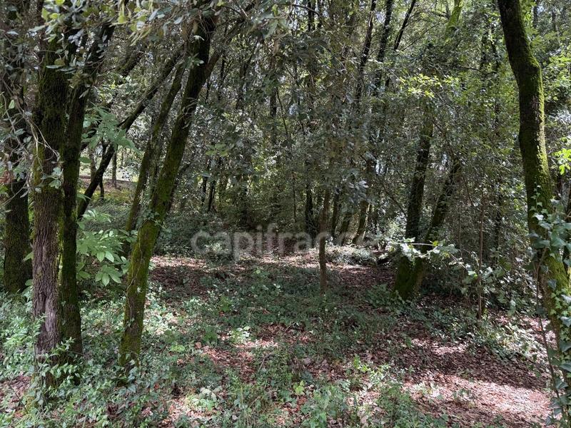 Terrain constructible - 1 032 m²