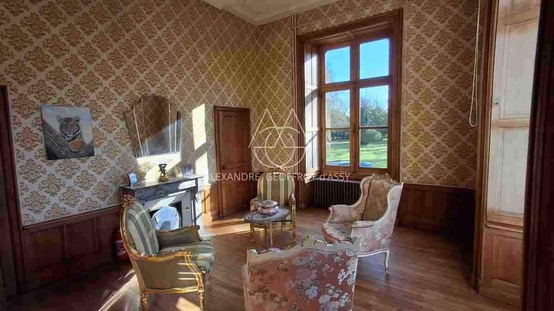 Château - 700 m² - 20 pièces