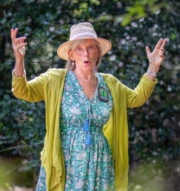 Flânerie Contée en Brocéliande.