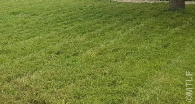 Terrain constructible - 540 m²