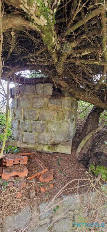 Villa - 163 m² - 6 pièces