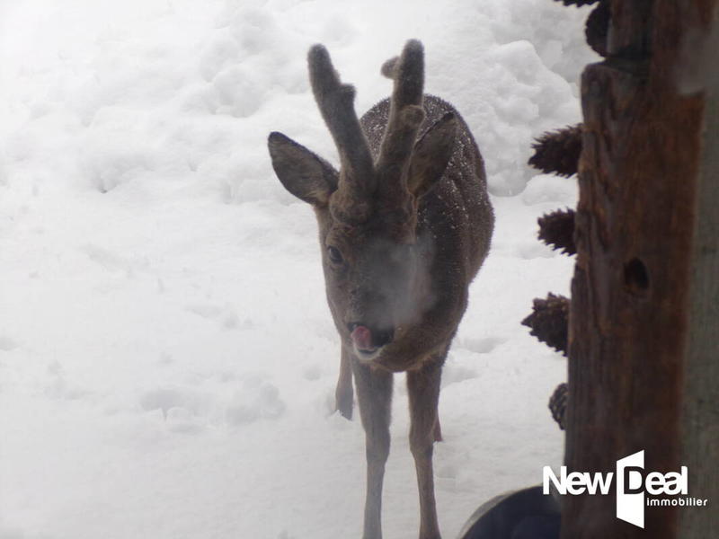 Maison en pierre - 186 m² - 13 pièces