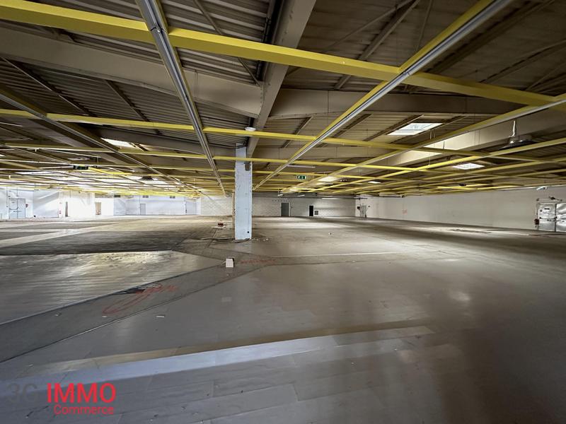 Local commercial - 3 300 m² - 4 pièces