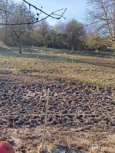 Maison de village - 99 m² - 6 pièces