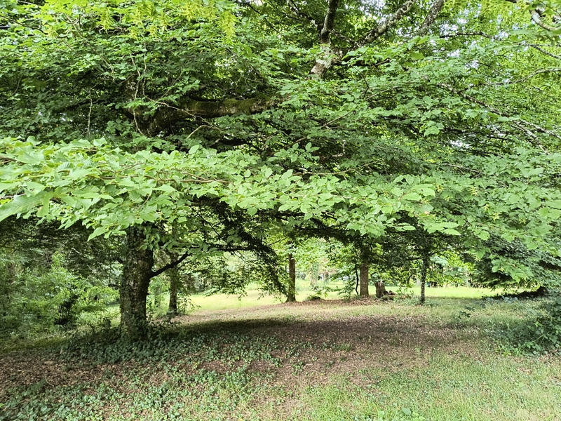 Maison - 156 m² - 6 pièces