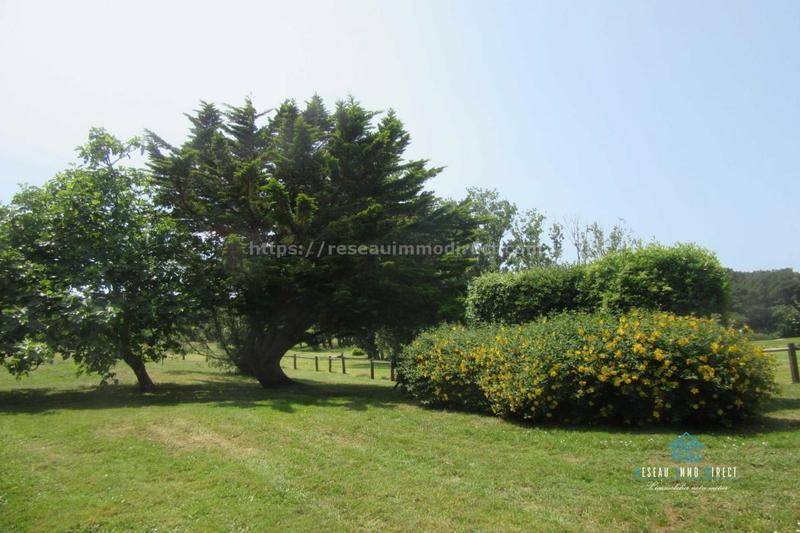 Appartement - 30 m² - 3 pièces