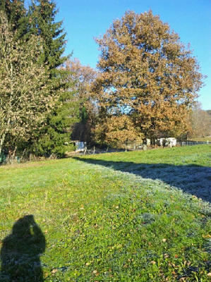 Maison - 84 m² - 5 pièces