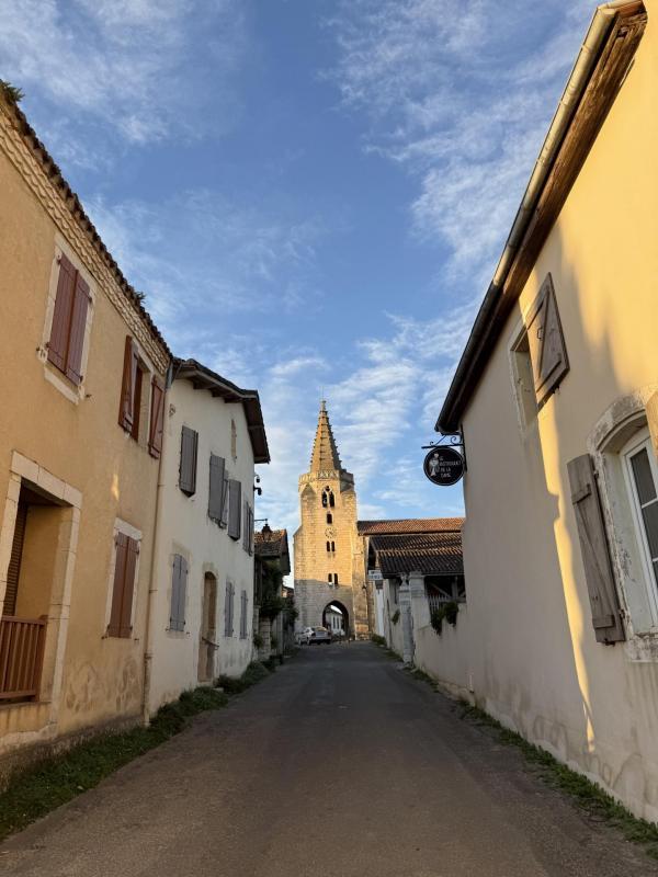 Terrain - 15 500 m²