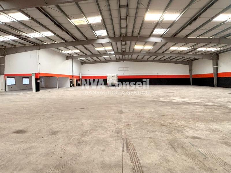 Entrepôt - 1 258 m²