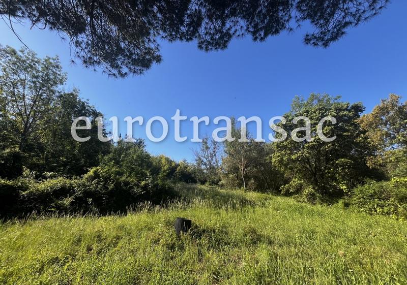 Terrain agricole - 11 480 m²