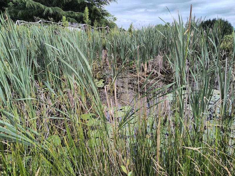 Maison - 156 m² - 6 pièces