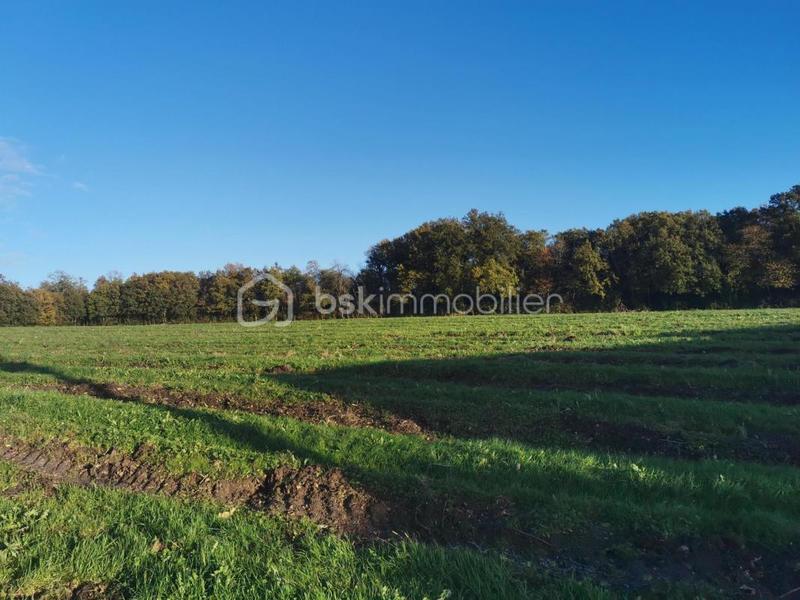 Maison - 240 m² - 5 pièces