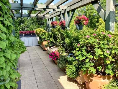 Appartement - 114 m² - 5 pièces