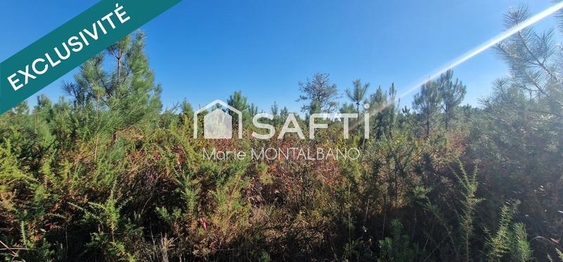 Terrain - 59 300 m²