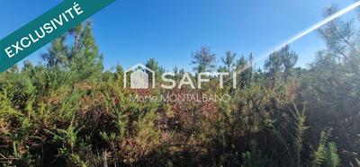 Terrain - 59 300 m²