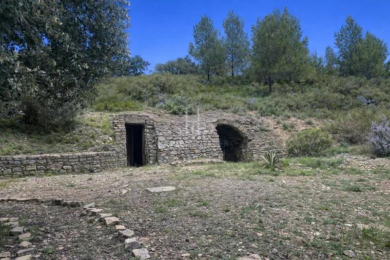 Mas - 250 m² - 8 pièces