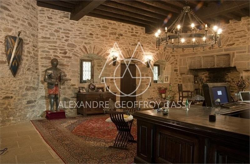 Château - 3 500 m² - 30 pièces