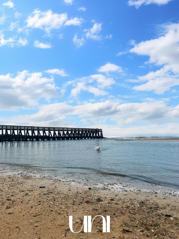 Appartement - 29 m² - 1 pièce