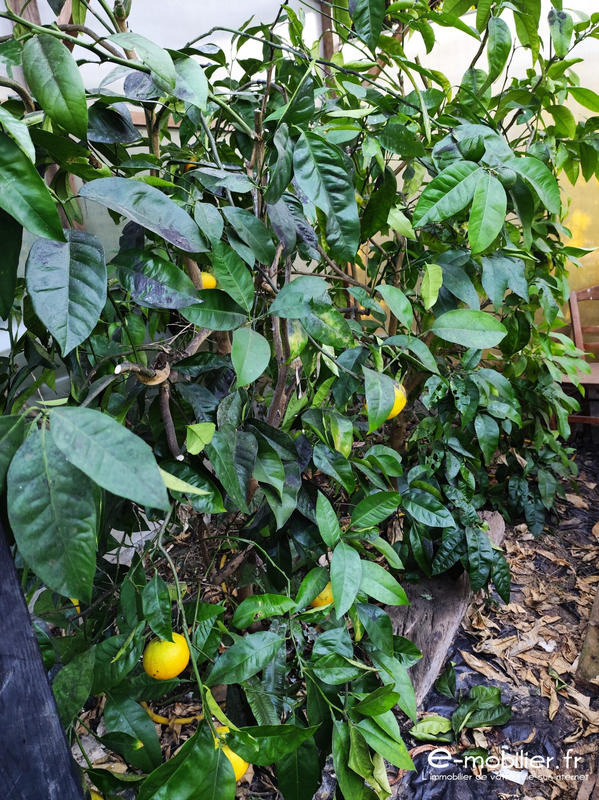 Maison - 73 m² - 4 pièces