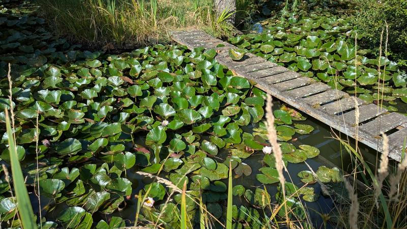 Maison - 56 m² - 3 pièces