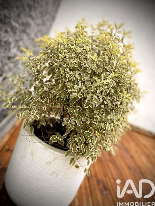 Maison de ville - 80 m² - 4 pièces