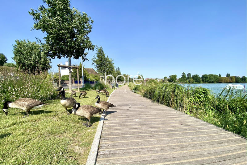 Maison traditionnelle - 179 m² - 6 pièces