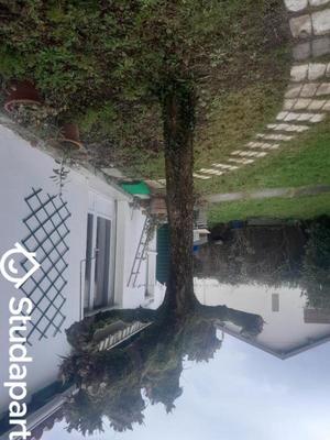 Appartement - 35 m² - 1 pièce