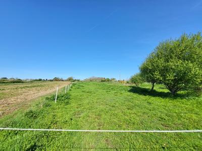 Hangar - 520 m² - 1 pièce