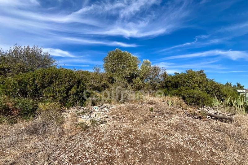 Terrain agricole - 1 200 m²