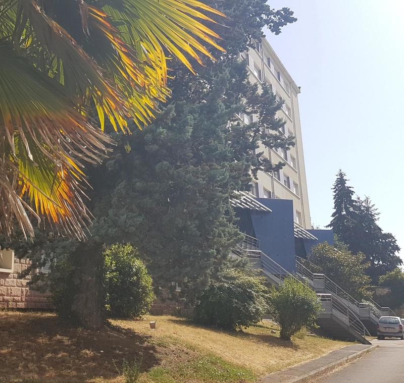 Appartement - 17 m² - 1 pièce