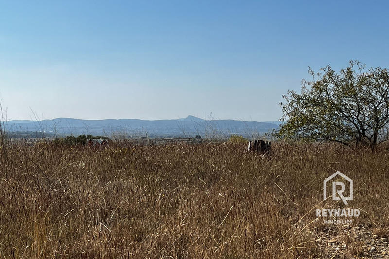 Terrain agricole - 5 600 m²