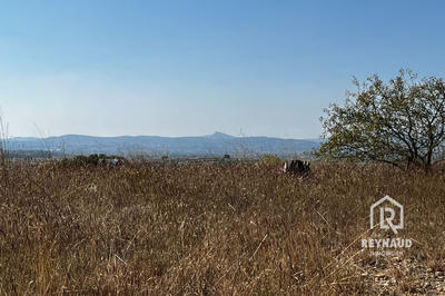 Terrain agricole - 5 600 m²