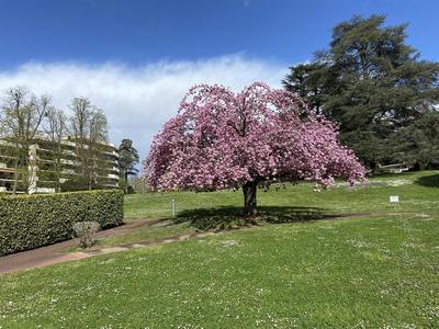 Appartement - 61 m² - 2 pièces