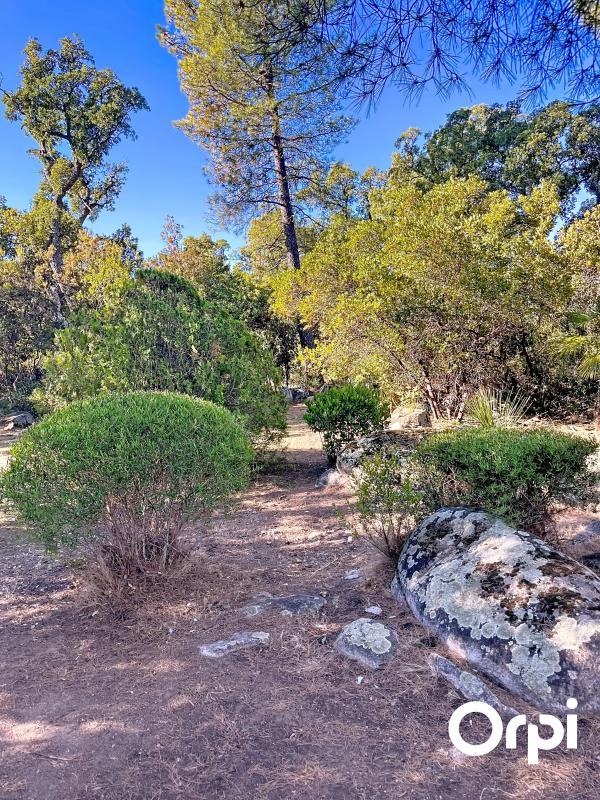 Terrain constructible - 1 600 m²