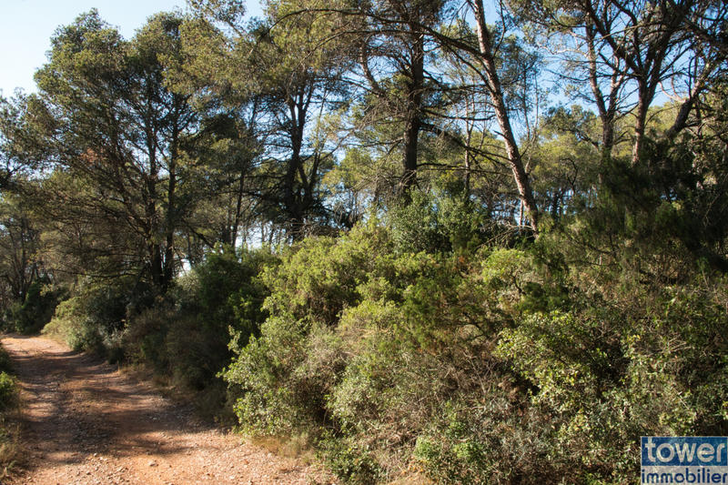 Terrain de loisirs - 42 302 m²