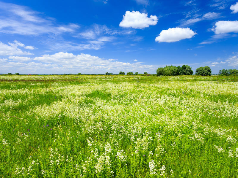 Maison - 84 m² - 6 pièces