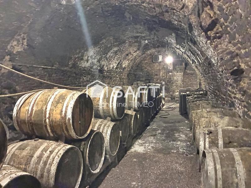 Maison - 334 m² - 11 pièces