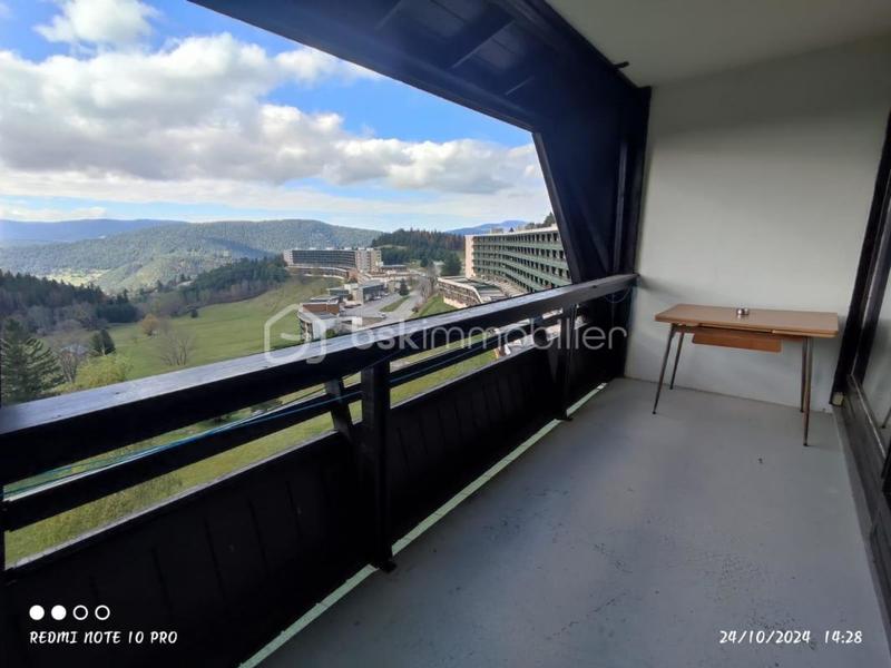 Studio - 35 m² - 1 pièce