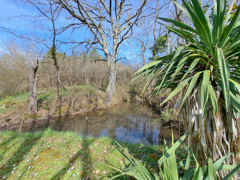 Maison - 260 m² - 9 pièces