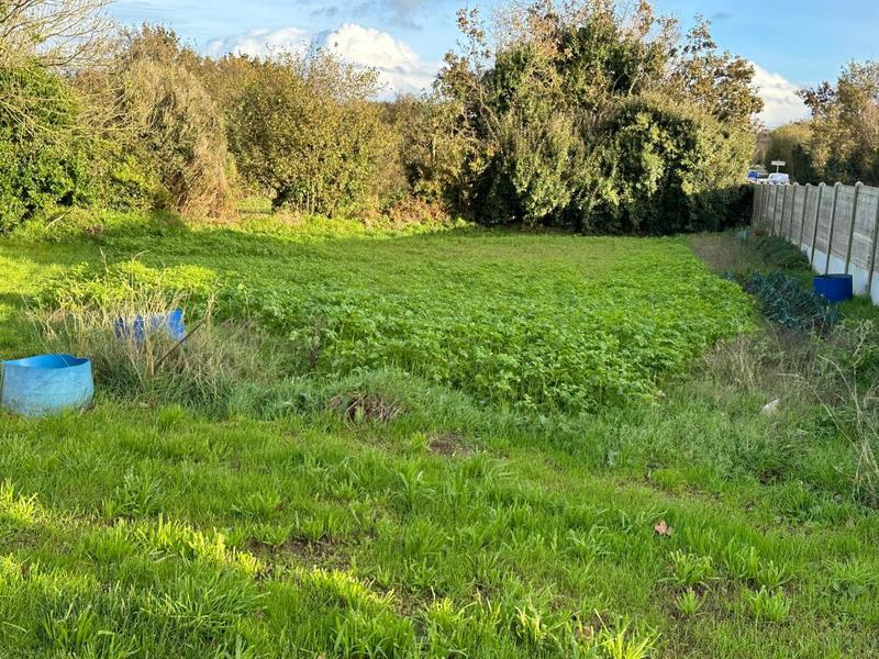 Ferme - 140 m² - 5 pièces