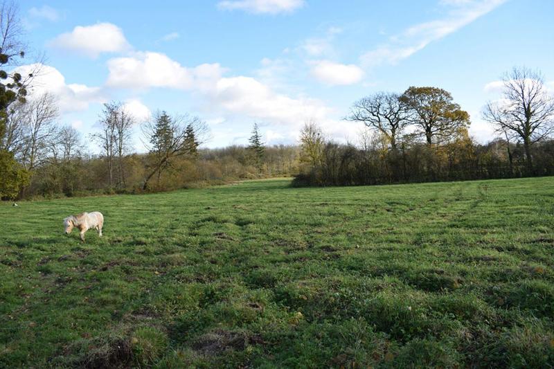 Corps de ferme - 152 m² - 8 pièces