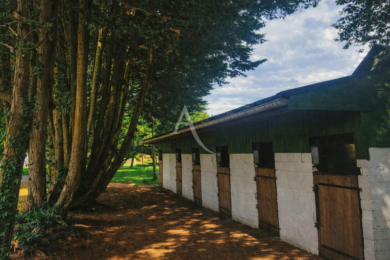 Maison de domaine équestre - 168 m² - 5 pièces