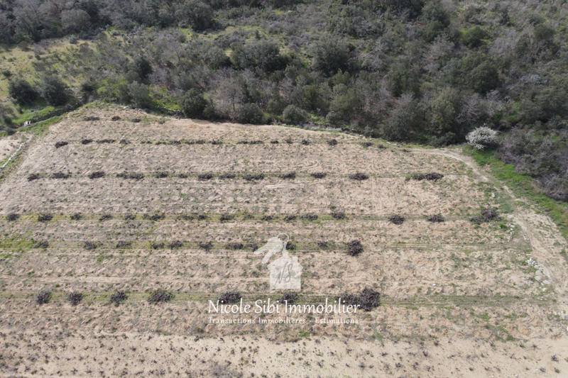 Terrain agricole - 4 160 m²