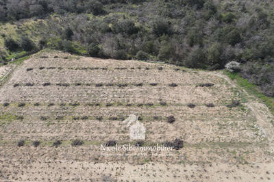 Terrain agricole - 4 160 m²