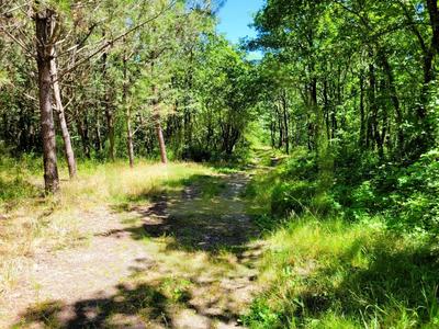 Maison - 111 m² - 4 pièces