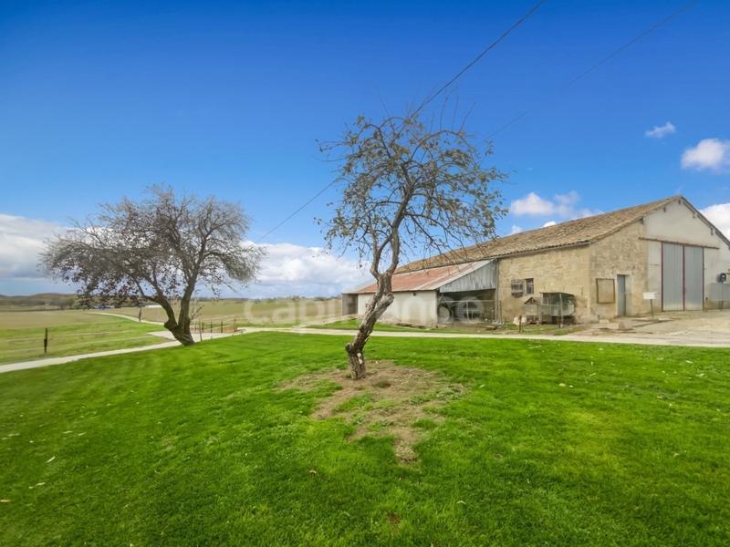 Maison de campagne - 160 m² - 5 pièces