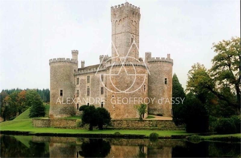 Château - 3 500 m² - 30 pièces