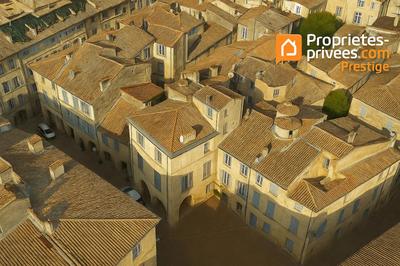 Hôtel particulier - 320 m² - 10 pièces