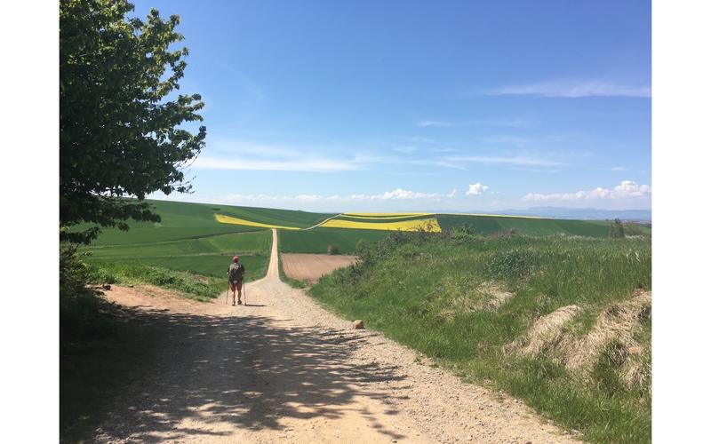 Compostelle -projection du film en avant-première