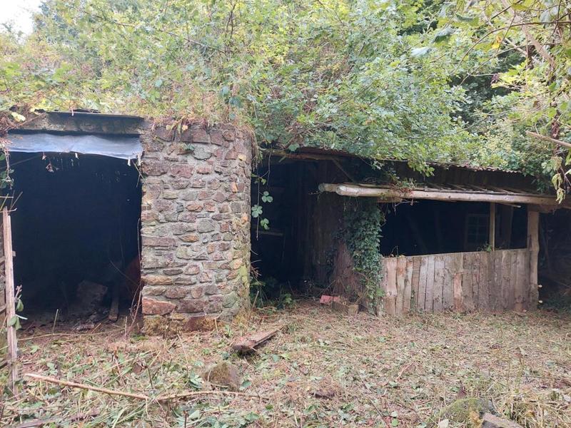 Maison en pierre - 100 m² - 4 pièces